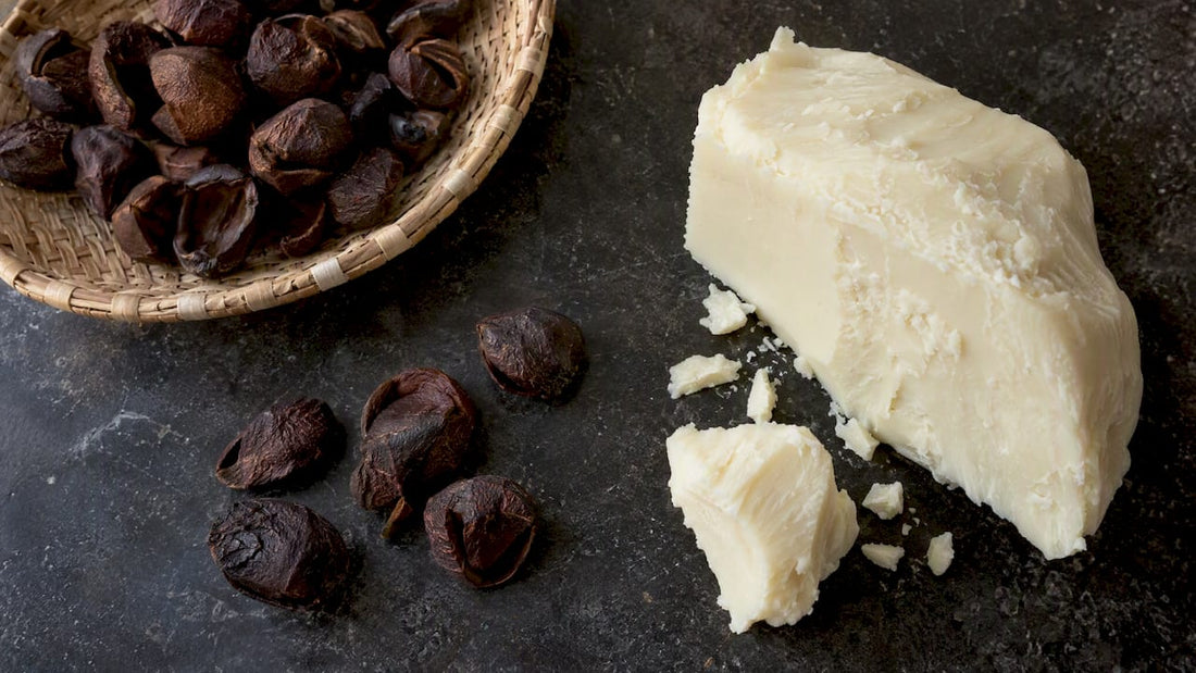 Kokum butter beside dried kokum seeds